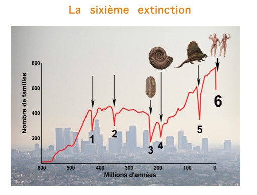 6eme-extinction