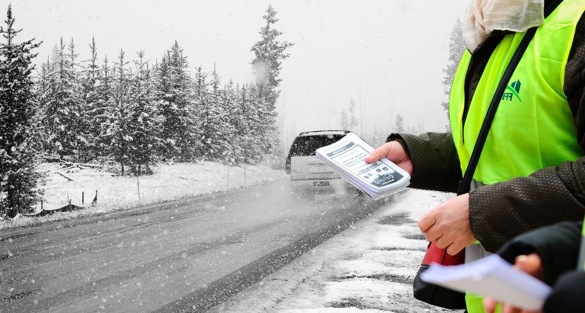 car, snow, road, winter, roadtrip, road, trip, snowstorm, travel