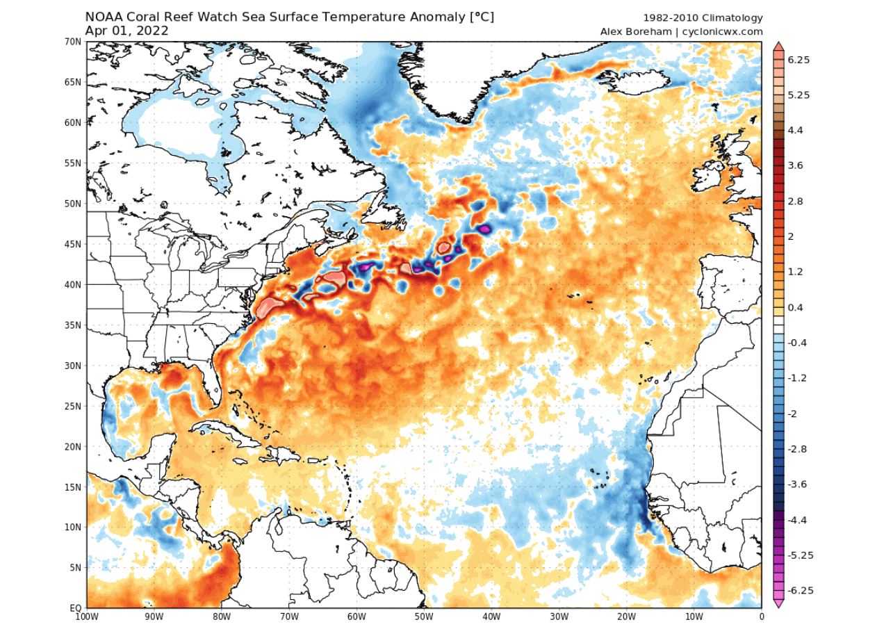 gulf-stream-collapse-ocean-surface-temperature-anomaly-analysis-noaa-latest