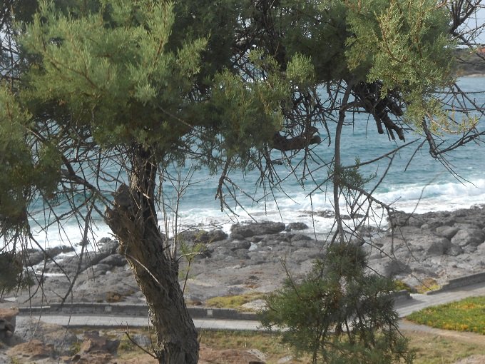 rocce-e-mare