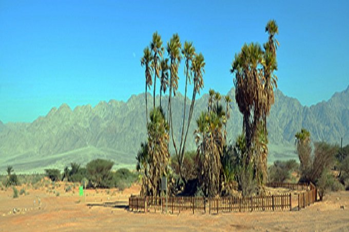 escursioni deserto