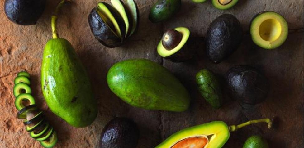 El salvador is central america's smallest country, but one with loads to see and do: Aguacate Los 6 Errores Que Mas Cometemos