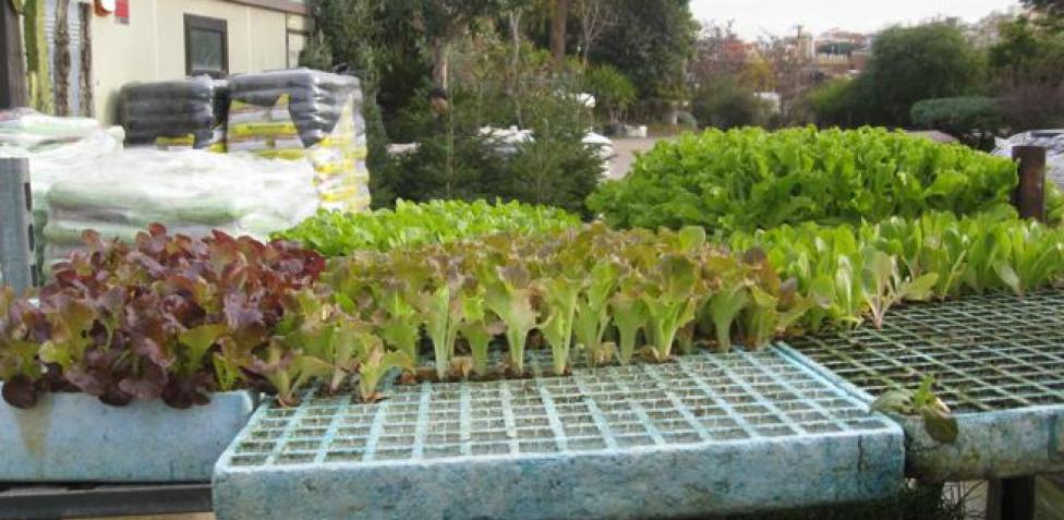 Otras veces ya te hemos contado cómo aprovechar espacios en tu vivienda para sembrar algunas especies. Huerto Urbano Trucos Faciles Para Crear Uno En Tu Pequeno Balcon O Ventana