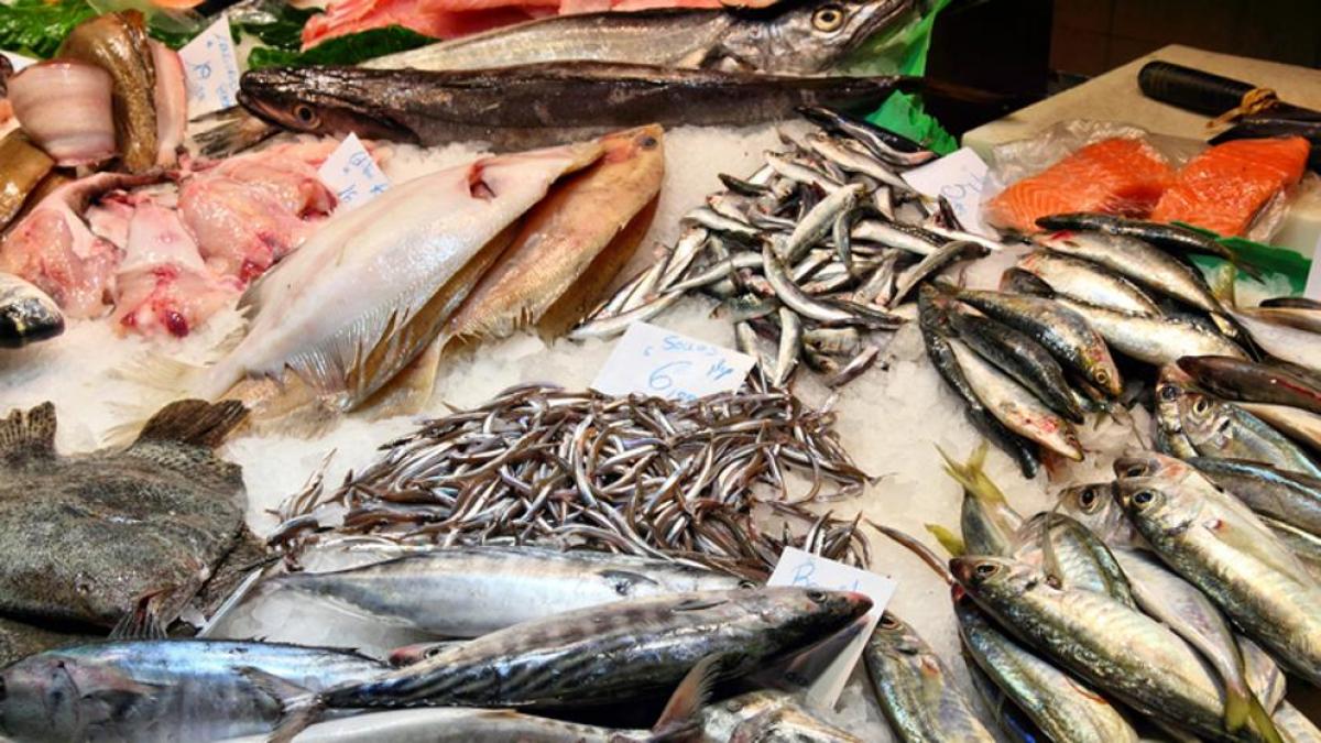Aquí aparecerá el número de dosis, el fabricante de la vacuna . Los mejores pescados por menos de 10 euros