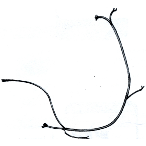 Wiring Electrical System For Vespa 125 Cc Primavera Vma1 2 Ro 144505