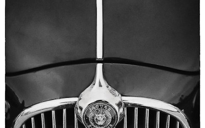 L’oeil du Jaguar