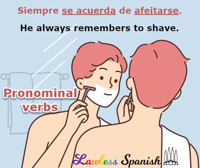 Spanish Pronominal Verbs Lawless Spanish Grammar