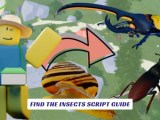 Find The Insects Script Guide Lawod