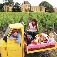 Saint-Estephe’s famous yellow Château is going greener day by day