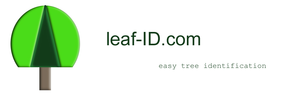 Tree Id Basics