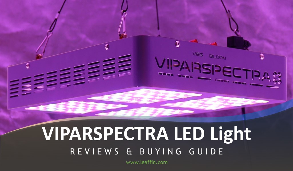 Viparspectra Review
