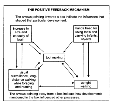 Cbse Class 11 Indian Economic Development Chapter 1 Indian Economy On The Eve Of Independence Revision Notes Felix Flex pulls the bar forward rotates the cam and lifts the load.
