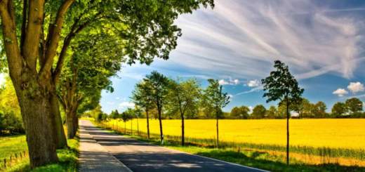 Arithmetic operators in C++