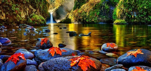 Logical operators in C++