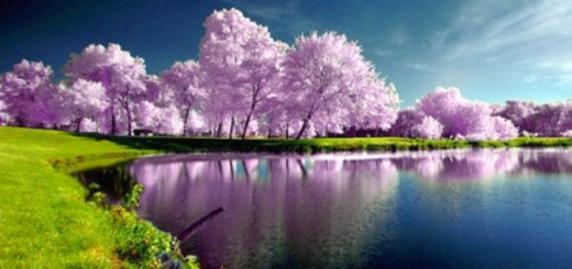 Variables and Declarations in Cpp