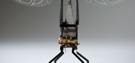 Friend Functions and Friend Classes in Cpp