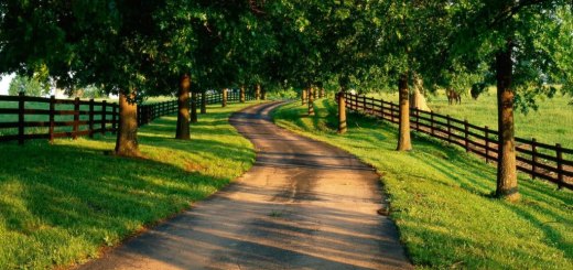 Program in Cpp to find sum of first n natural numbers