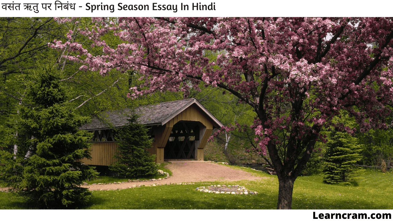 Spring Season Essay In Hindi