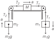 Pulley System