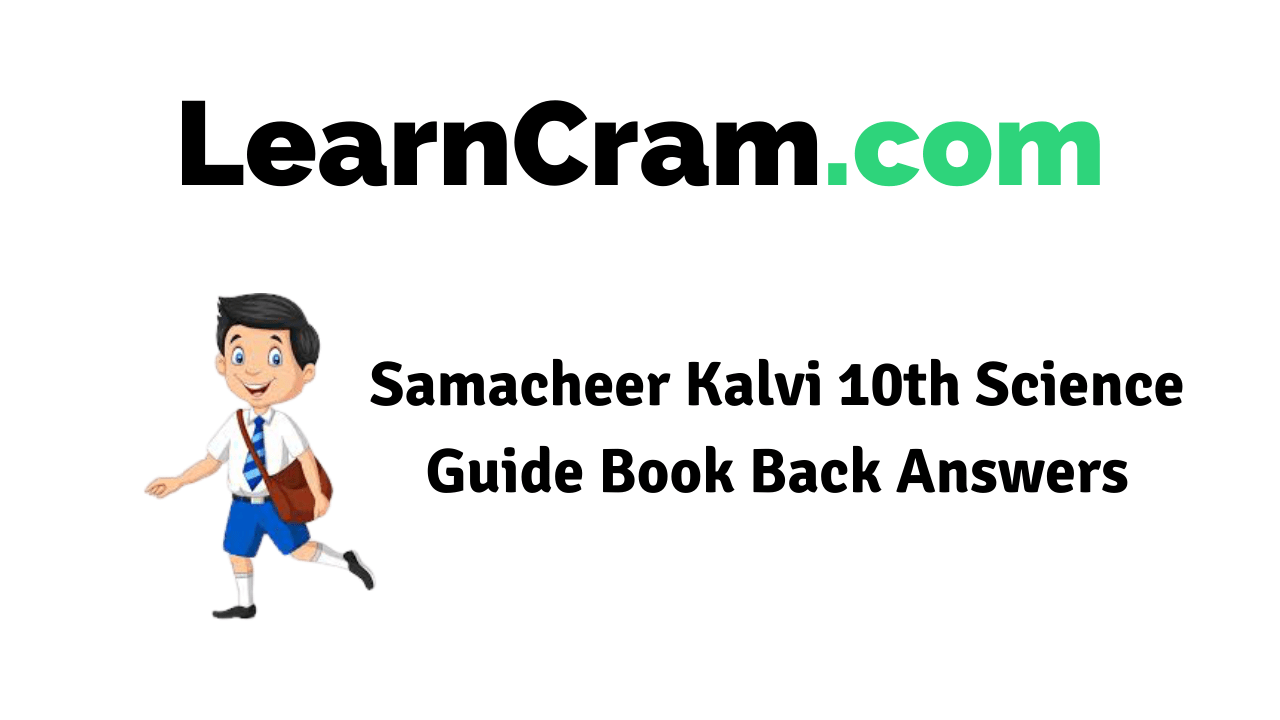 Samacheer Kalvi 10th Science Guide Book Back Answers Solutions