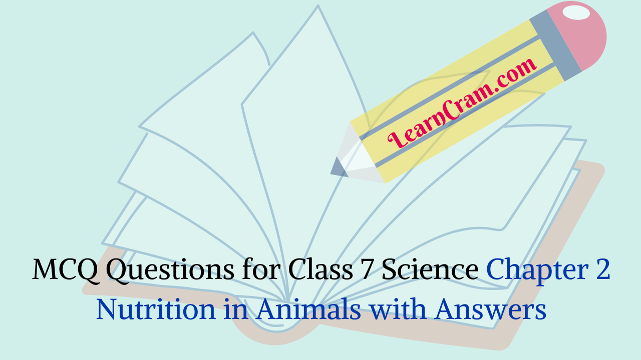 MCQ Questions for Class 7 Science Chapter 2 Nutrition in Animals with Answers