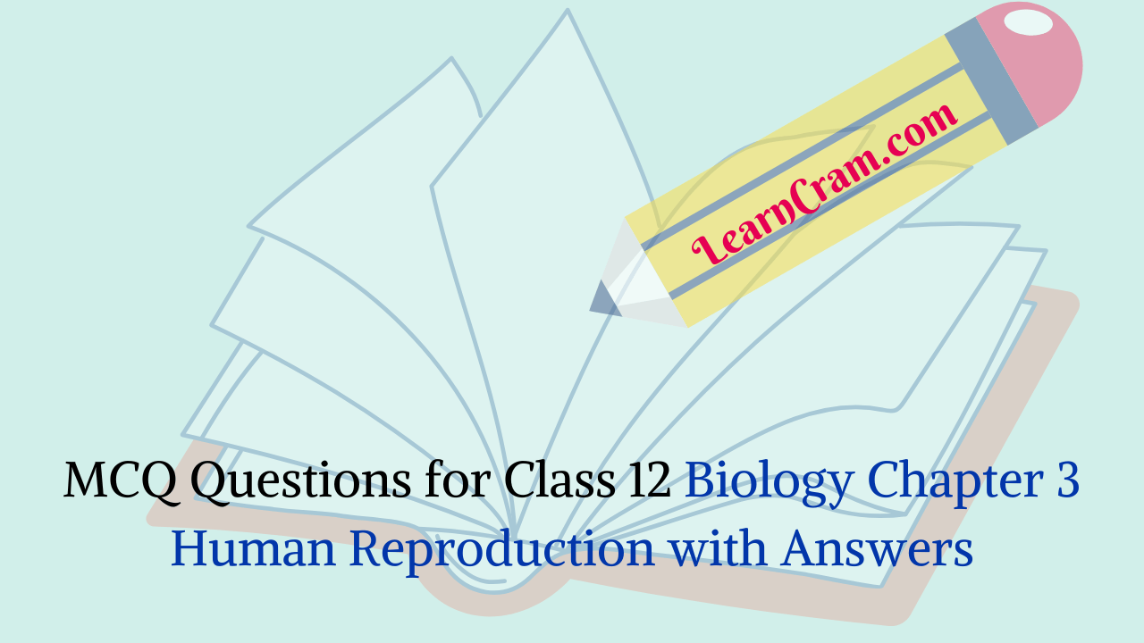 MCQ Questions for Class 12 Biology Chapter 3 Human Reproduction with Answers
