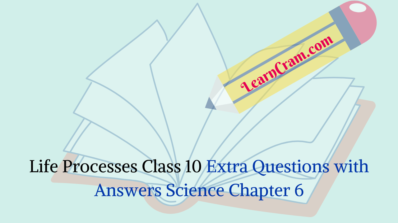 Life Processes Class 10 Extra Questions with Answers Science Chapter 6