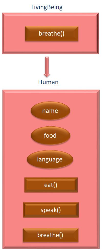 Javascript Classes Inheritance For Loop Pdf Java Script - Premium Ocean Pattern Gallery - Desktop