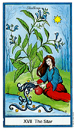 Check out our herbal tarot deck selection for the very best in unique or custom, handmade pieces from our divination tools shops. Toys Games Tarot Cards Tarnaalignkohtao Com Herbal Tarot By Tierra Cantin