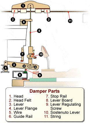 Modern pianos usually have three pedals, . What Do The Pedals On The Piano Do