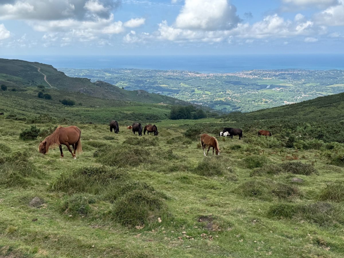 la rhune randonnée