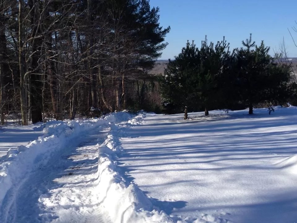 The plowed path to the field