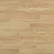 LdT Rovere extra NAT LISCIO Zenitale