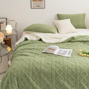 Coperte Sherpa calde primavera estate Divano letto solido Copriletto in visone Copriletto Home Office Aereo Coperte per dormire 1