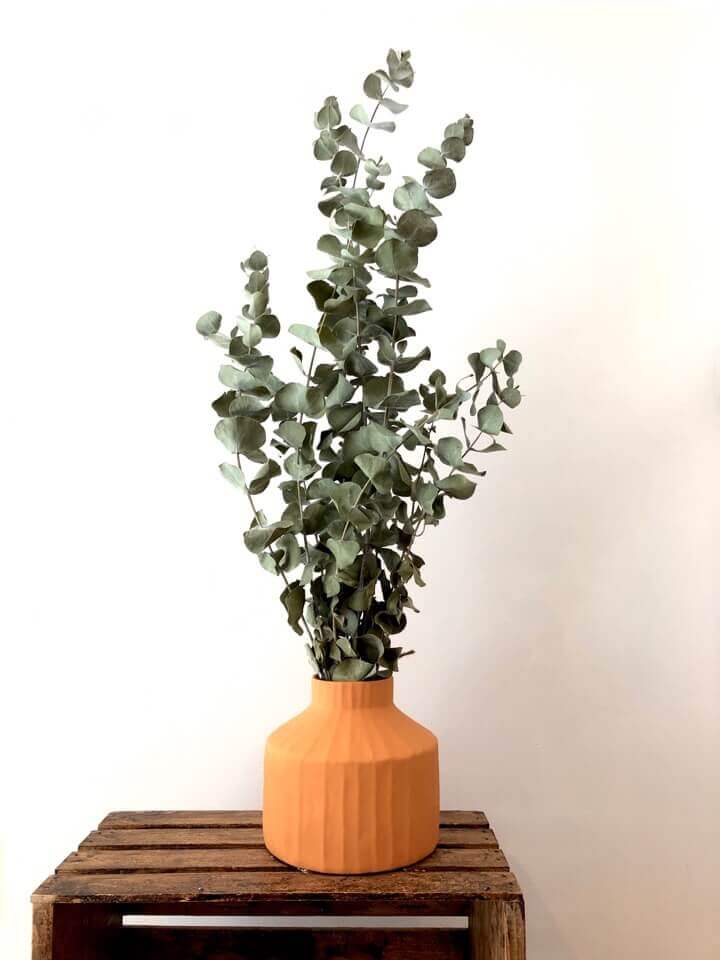 Eucalyptus Seche Fleuriste Montreal Le Jardin De Mathilde