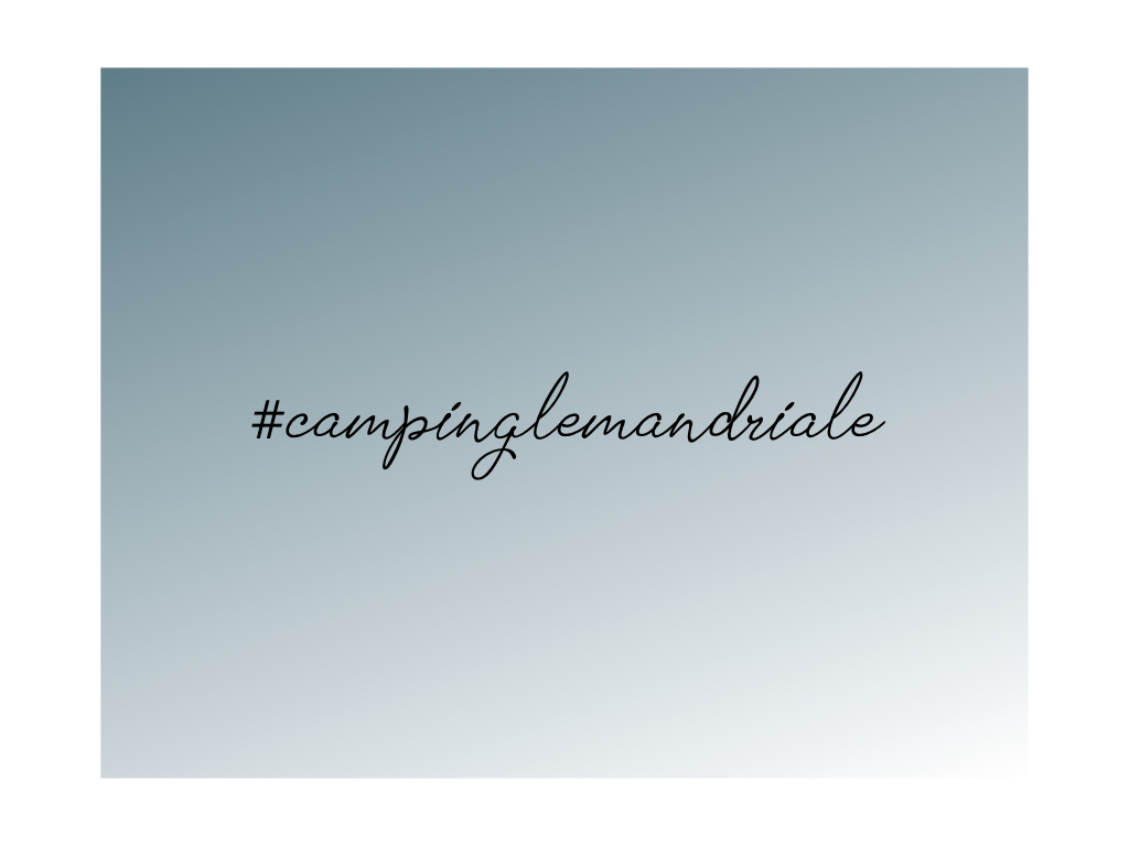 #campinglemandriale