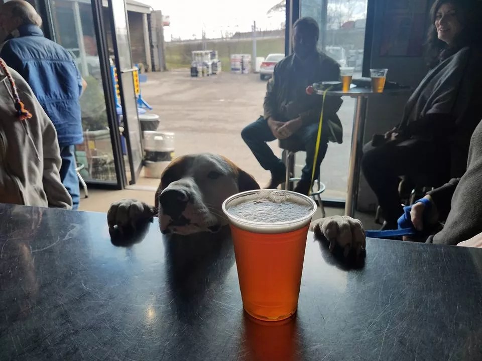 Apocalypse Brew Works