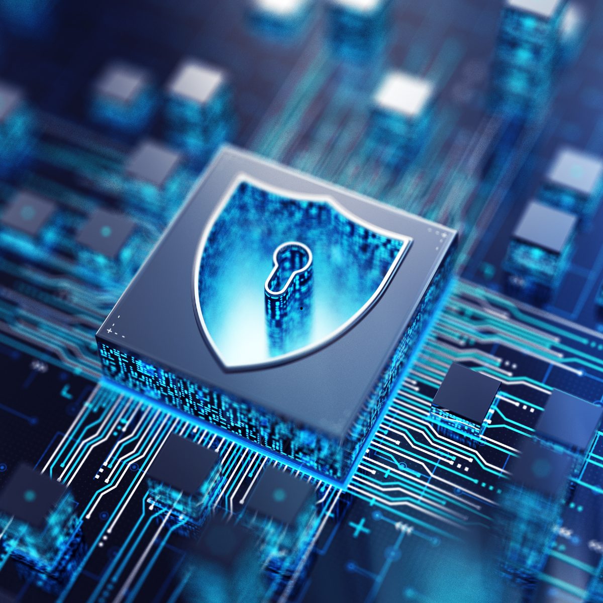 Cyber