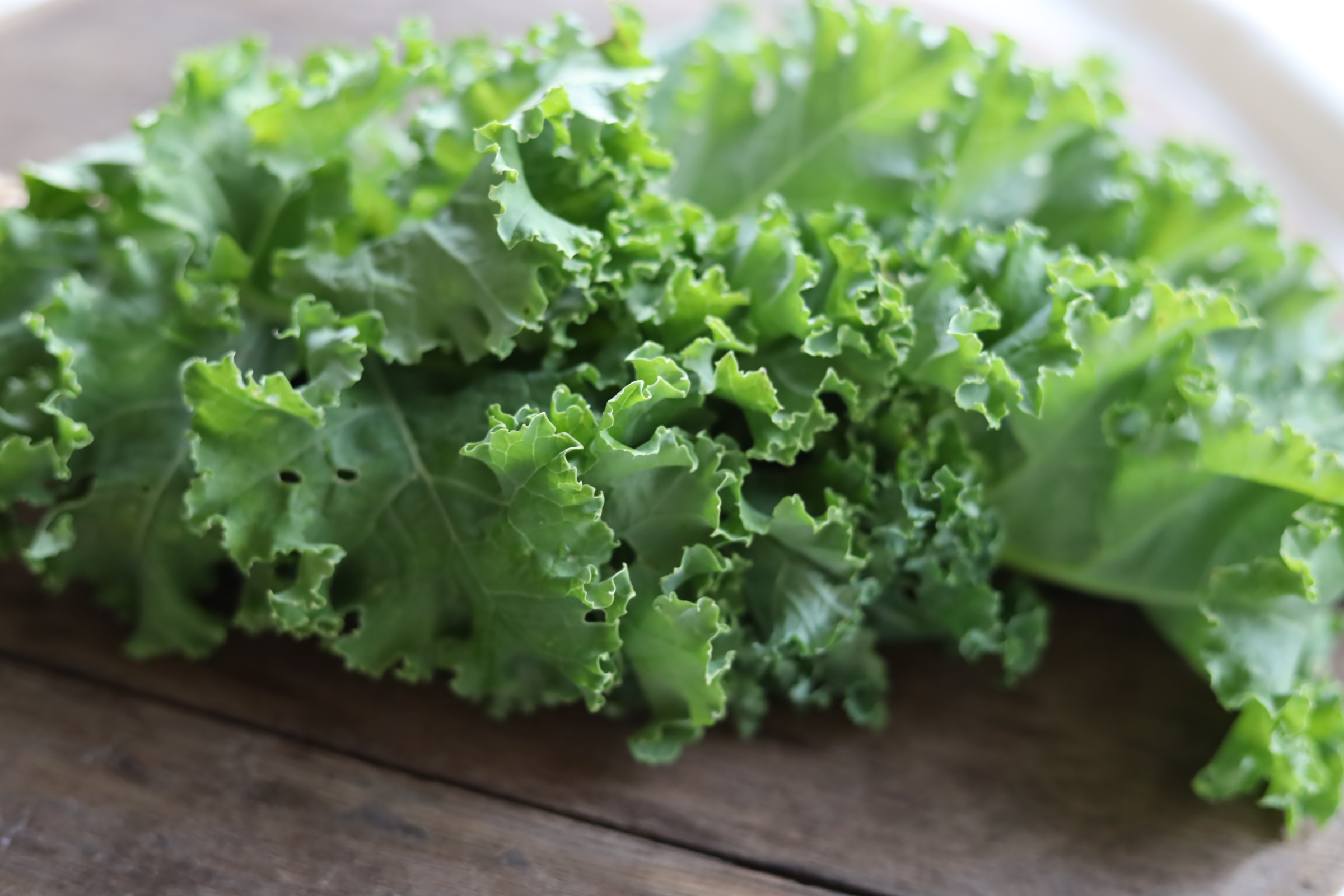 kale kopūstas