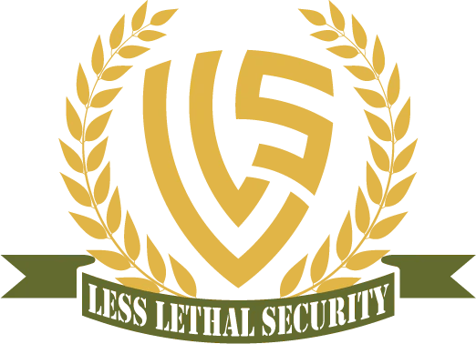 Accessories Less Lethal Security - Download Elegant City Illustration | 4K