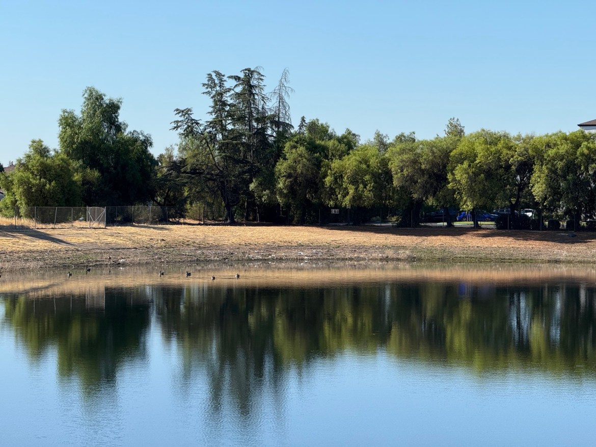 A pond under a blue sky with a line of trees on the far back, the trees are reflected in the pond but with a glassy look, and there are a few ducks breaking up the reflection near the far bank.