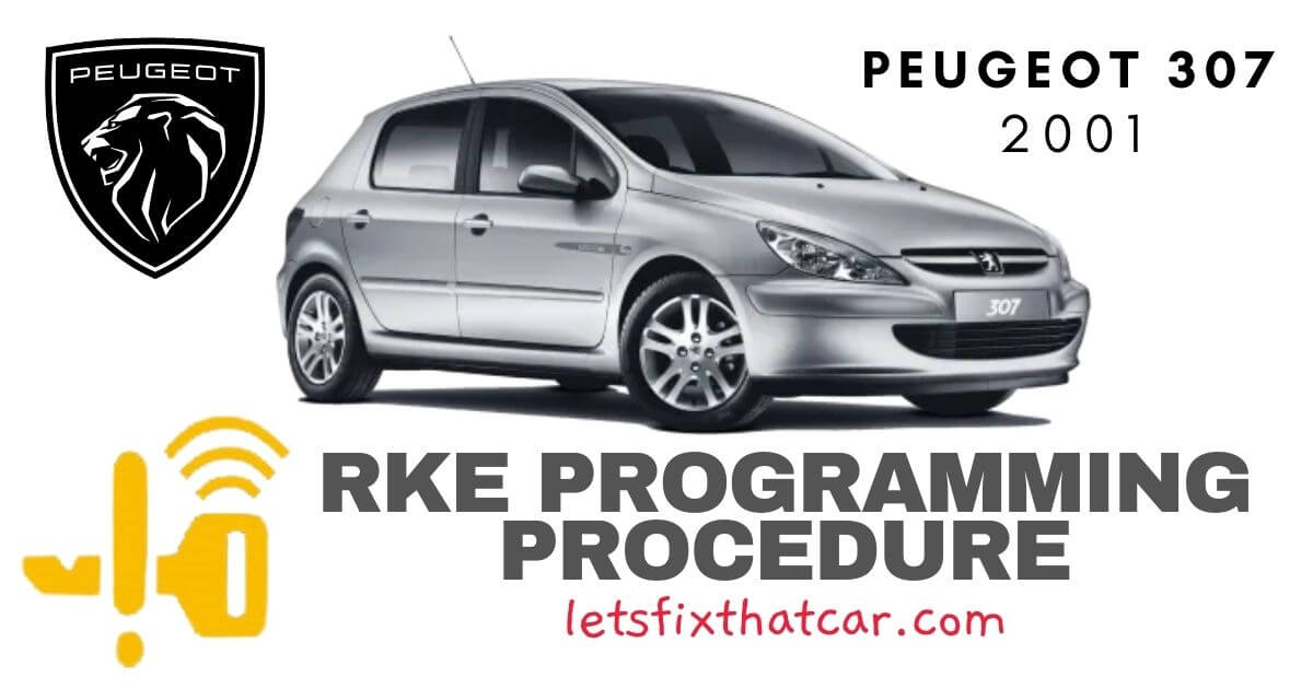 KeyFob RKE Programming Procedure-Peugeot 307 2001