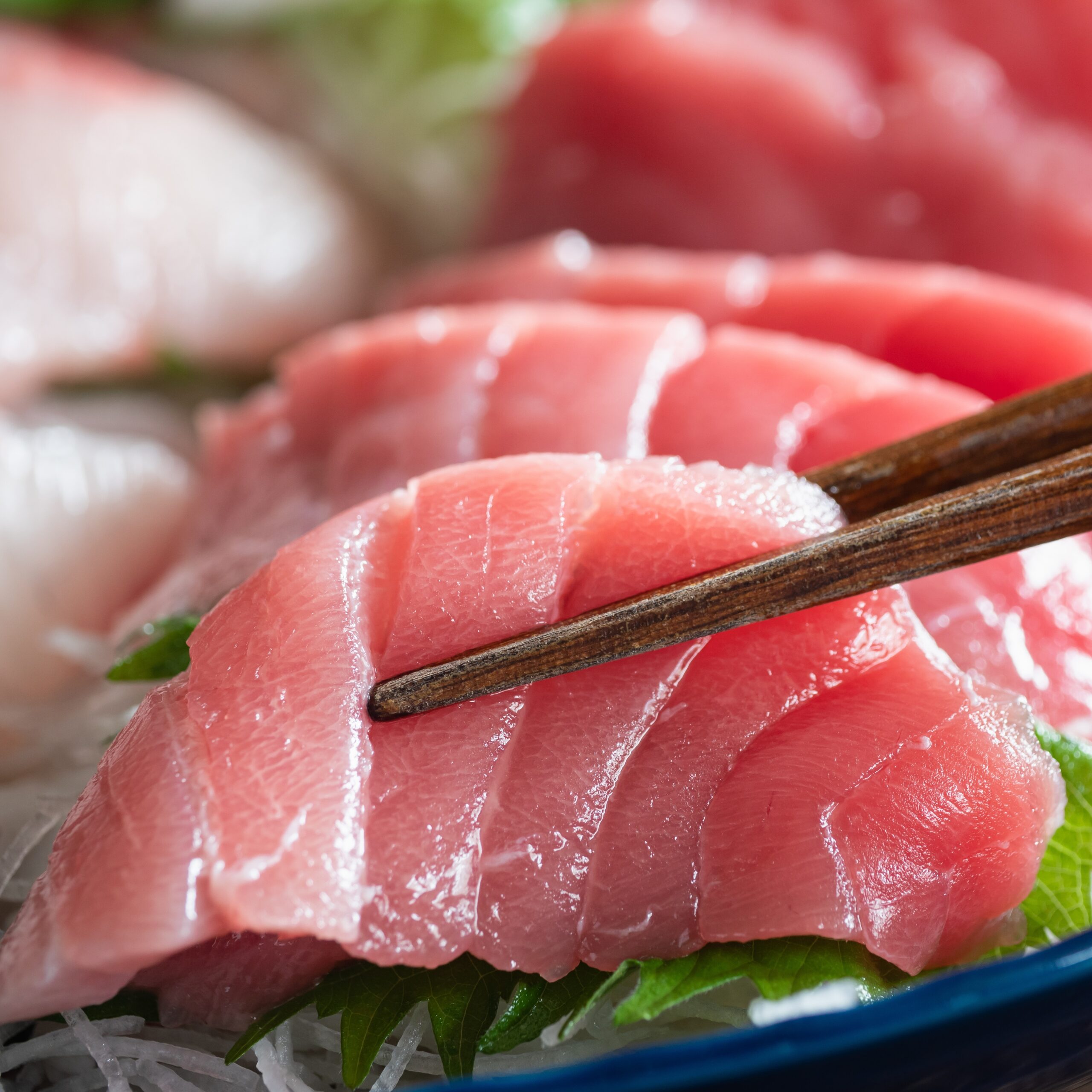 本マグロの中トロのお刺身と箸のクローズアップ。