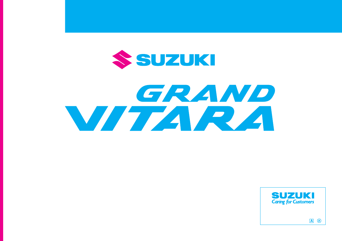 Bedienungsanleitung Suzuki Grand Vitara 2008 Seite 1 Von