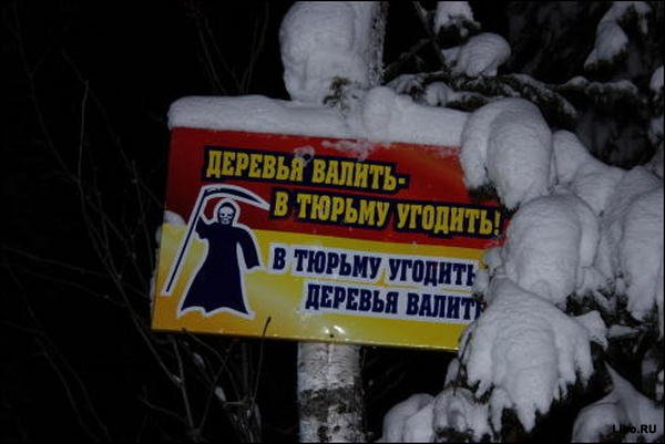 Веселые картинки