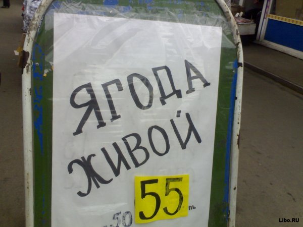Веселые картинки