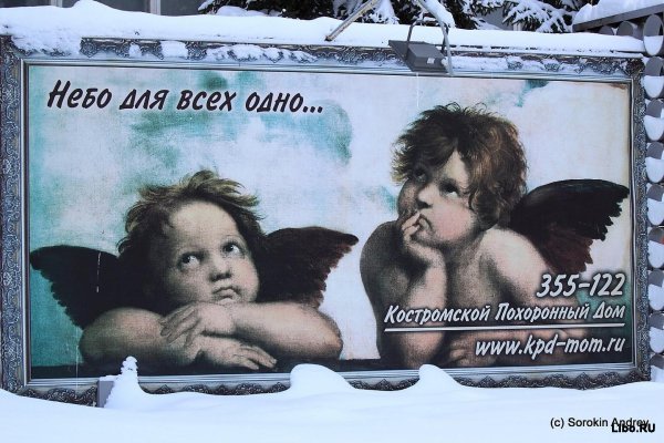 Веселые картинки