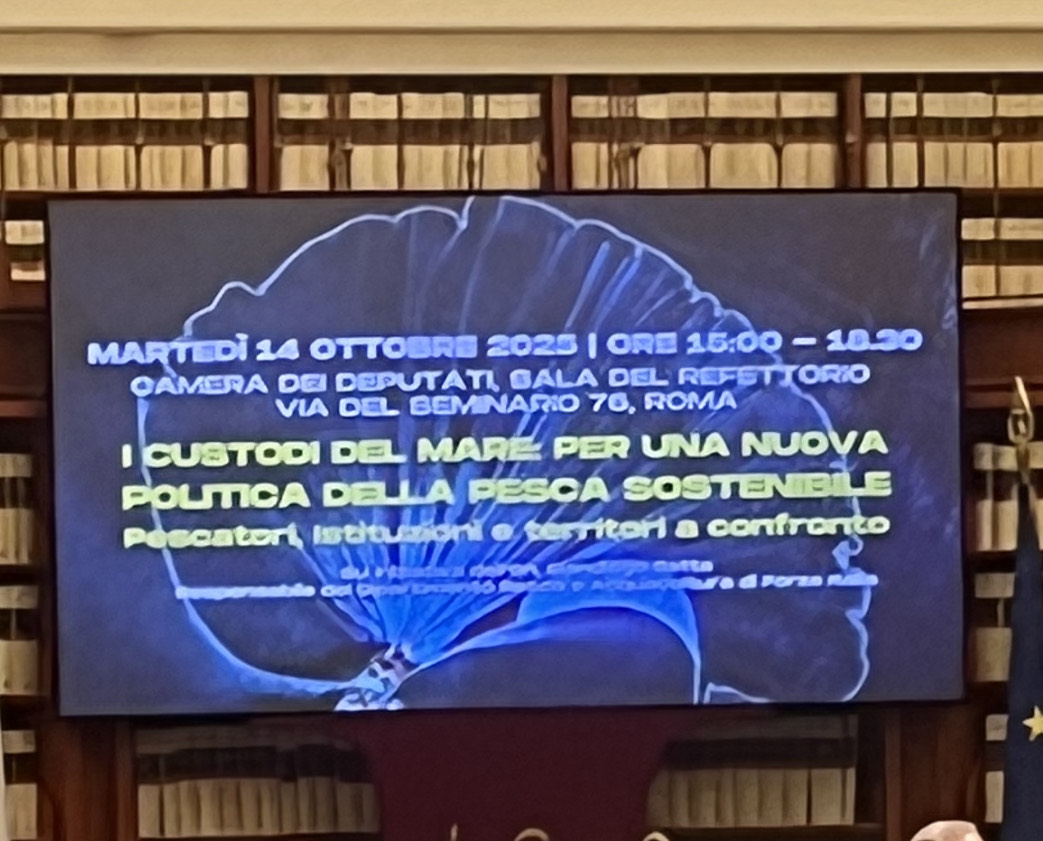 istituzioni e categorie a confronto per il rilancio della pesca160