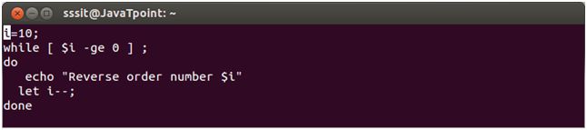 Shell While Shell While Csdn - Best Ocean Photos in 4K