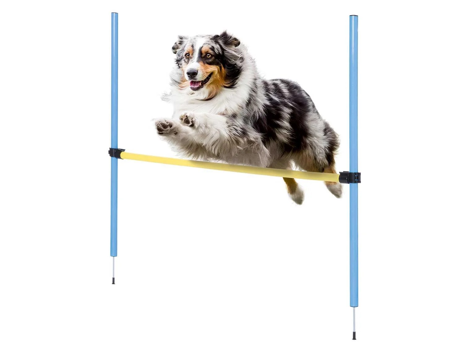 ZOOFARI® Accessoires de dressage pour chien, avec vidéos de formation - Lidl .be